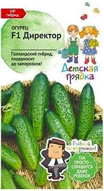 Семена Огурца АгроСидсТрейд Директор F1 5 шт