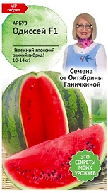 Семена Арбуза Октябрина Ганичкина Одиссей F1 5 шт