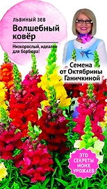 Семена Львиного зева Октябрина Ганичкина Волшебный ковер 0,05 г