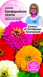 Семена Циннии Октябрина Ганичкина Калифорния гиганты 0,4 г