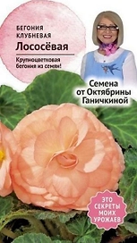 Семена Бегонии клубневой Октябрина Ганичкина лососевая 6 шт
