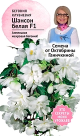 Семена Бегонии клубневой Октябрина Ганичкина Шансон белая F1 6 шт