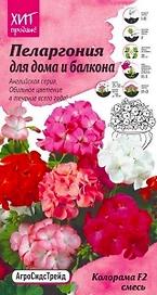 Семена Пеларгонии АгроСидсТрейд Английская серия Колорама F2 смесь 5 шт