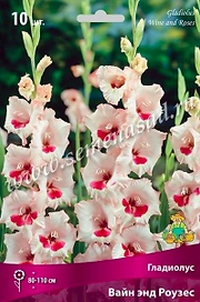 Луковицы Гладиолуса ПОИСК Вайн энд роузес 3 x 3 шт