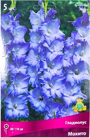 Луковицы Гладиолуса крупноцветкового ПОИСК Мохито 5 x 25 шт