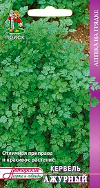 Семена Кервеля ПОИСК Ажурный 0,5 г