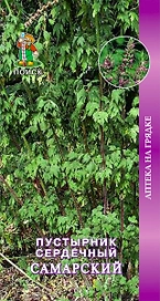 Семена Пустырника ПОИСК Сердечный Самарский 0,1 г