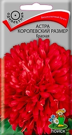Семена Астры ПОИСК Королевский размер красная 1 г