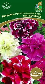 Семена Петунии ПОИСК Тарт Бонанза 10 шт