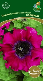 Семена Петунии ПОИСК Люкс Бордовая 10 шт