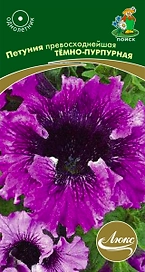 Семена Петунии ПОИСК Люкс Темно-пурпурная 10 шт