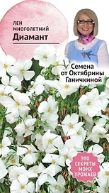 Семена Льна многолетнего Октябрина Ганичкина Диамант 10 шт