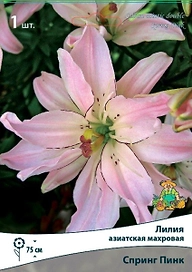 Луковицы лилии ПОИСК Спринг Пинк 2 шт