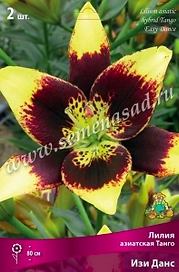 Луковица Лилии ПОИСК Изи Данс
