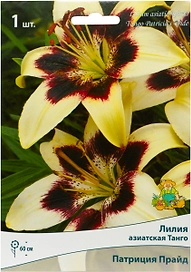 Луковица Лилии ПОИСК Патриция Прайд