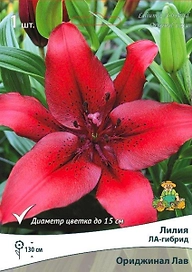 Луковицы лилии ПОИСК Ориджинал Лав 2 шт