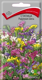 Семена Статицы ПОИСК Радужная смесь 0,1 г