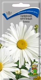 Семена Нивяника ПОИСК Аляска 0,5 г