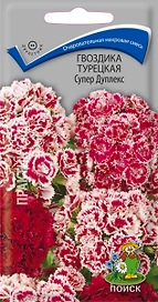 Семена Гвоздики турецкой ПОИСК Супер Дуплекс 0,3 г
