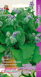Семена Огуречной травы ПОИСК Гном 0,5 г