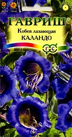 Семена Кобеи ГАВРИШ Лазающая Каландо 4 г 5 шт