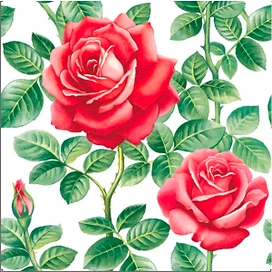 Салфетки одноразовые Английская роза 3-слойные 33x33 20 шт