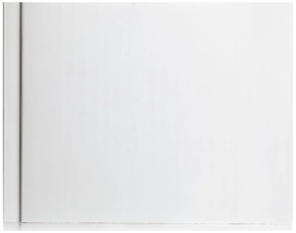 Панель ПВХ листовая Белый матовый 250х3000х8 мм