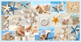 Панель ПВХ листовая Пляж 480х955х6 мм