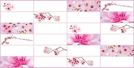 Панель ПВХ листовая Сакура 480х955х3 мм