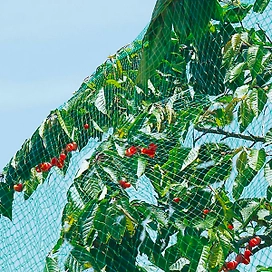 Защитная сетка 8x8 м