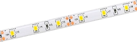 Светодиодная лента IEK SMD 2835 60LED IP65 12В 4,8Вт белый холодный 5 м