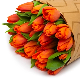 Букет из 25 тюльпанов в ассортименте