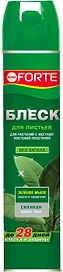 Блеск для листьев BONA FORTE аэрозоль 300 мл