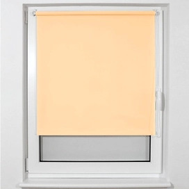 Рулонные шторы Markisol J15 55х175 см персиковые