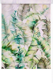 Рулонные шторы Legrand Джунгли 58082890 60х170 см бело-зеленые