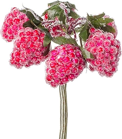 Декоративные ягоды Малина красная 10x10x10 cм 6 шт