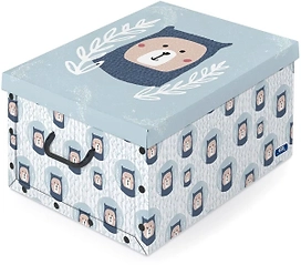 Коробка для хранения вещей Domopak DP914535M 39х50х24см