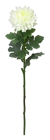 Искусственный цветок хризантема 68 см кремовая