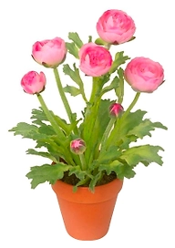 Искусственный цветок лютик 35 см розовый в горшке