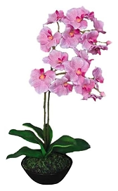 Искусственный цветок орхидея фаленопсис 65 см розовая в горшке