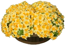 Искусственный цветок нарцисс 18 см желтый в корзине