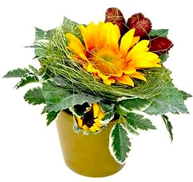 Искусственный цветок подсолнечник 15 см желтый в горшке