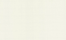 Виниловые обои VOG Collection АЛЬКАСАР 90101-41 белые 1,06x10,05 м 