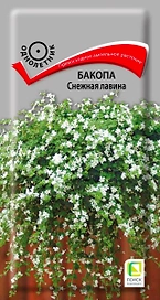 Семена Бакопы Снежная лавина 5 шт