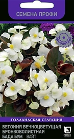 Семена Бегонии Бада бум вайт 15 шт