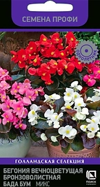 Семена Бегонии Бада бум микс 15 шт