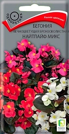 Семена Бегонии Найтлайф микс 15 шт