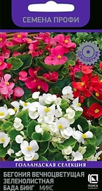 Семена Бегонии Бада бинг микс 15 шт