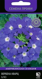 Семена Вербена Кварц блю 10 шт