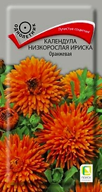 Семена Календула низкорослая Ириска оранжевая 10 шт